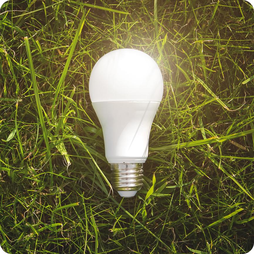 People holding solar panel