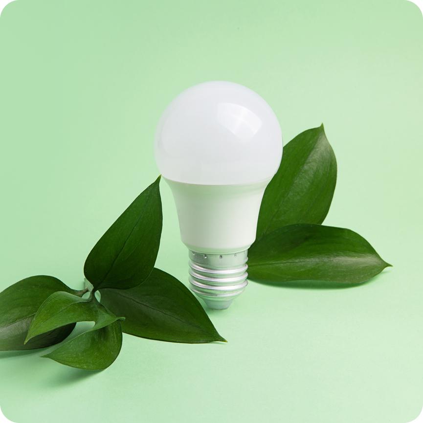 People holding solar panel